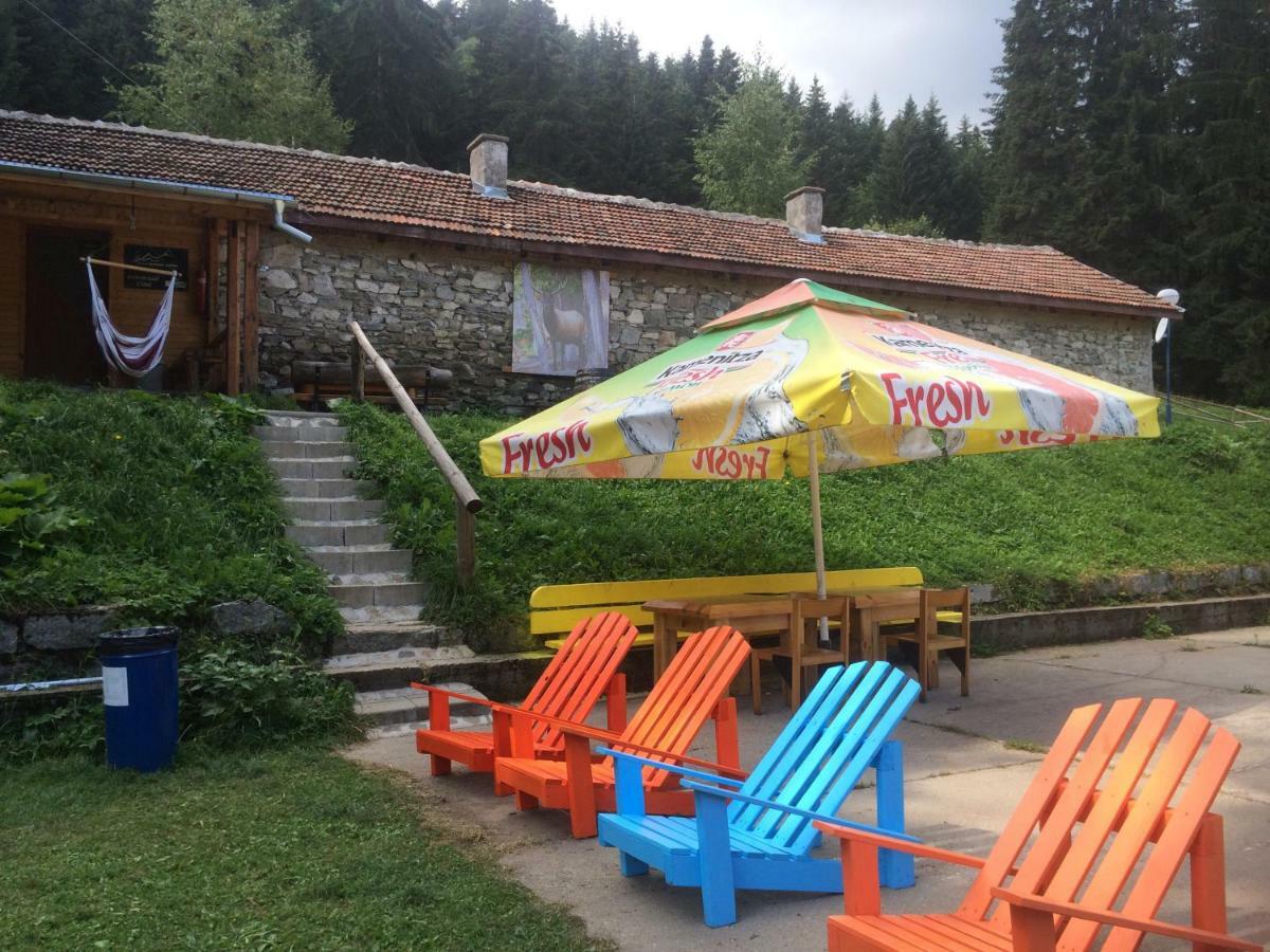 Malka Yurta Hut Villa Panichishte Dış mekan fotoğraf