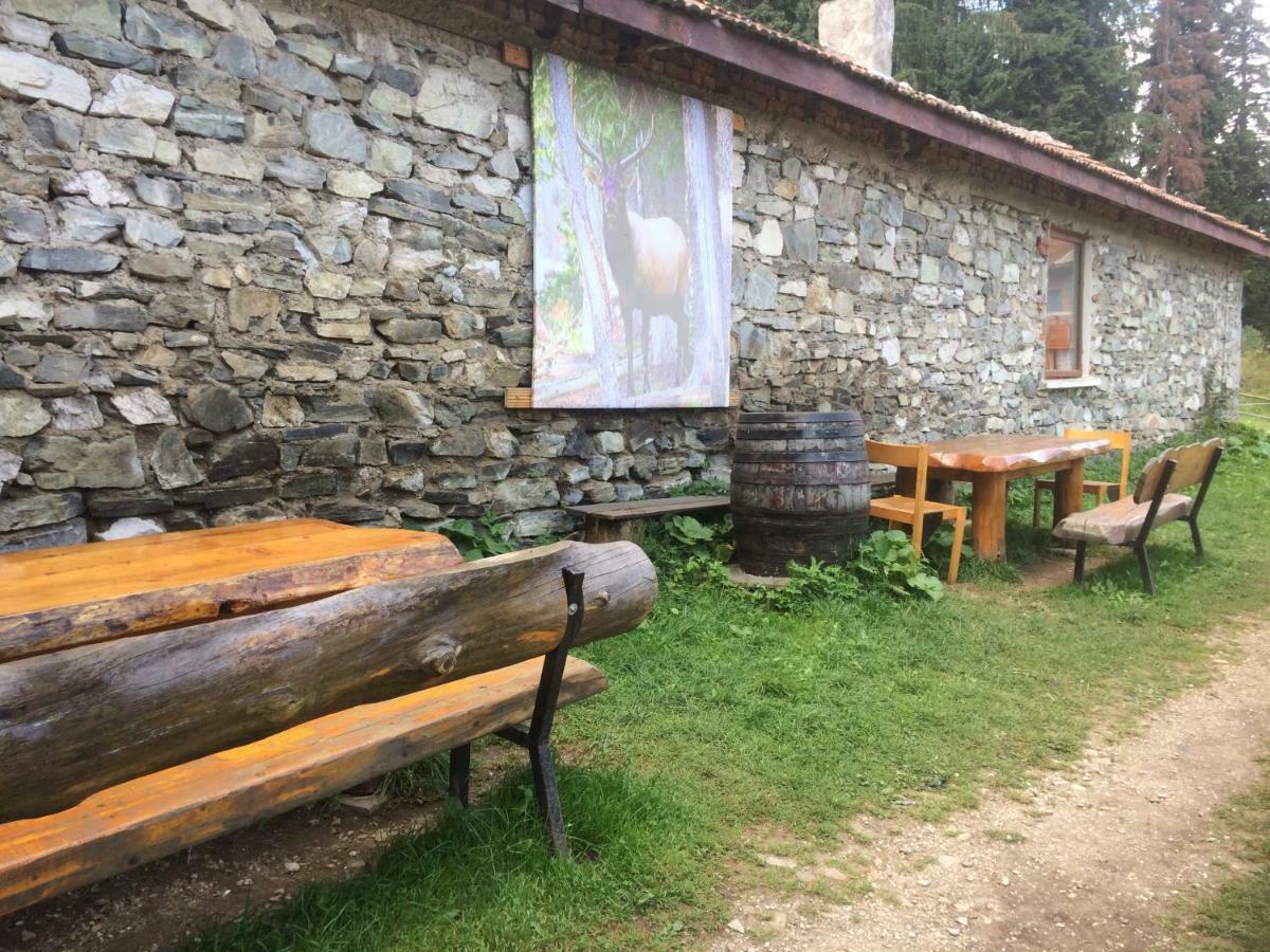 Malka Yurta Hut Villa Panichishte Dış mekan fotoğraf